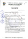 Vista preliminar de documento TUPA VIGENTE