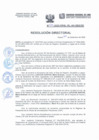 Vista preliminar de documento Resolución Directorial N°234-2022-DIRESA