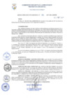 Vista preliminar de documento Resolución Ejecutiva RegionalhvKnW