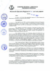 Vista preliminar de documento Resolución Ejecutiva RegionalnS8n7