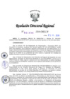 Vista preliminar de documento RDR-3994-2018-DRELM0dWJY