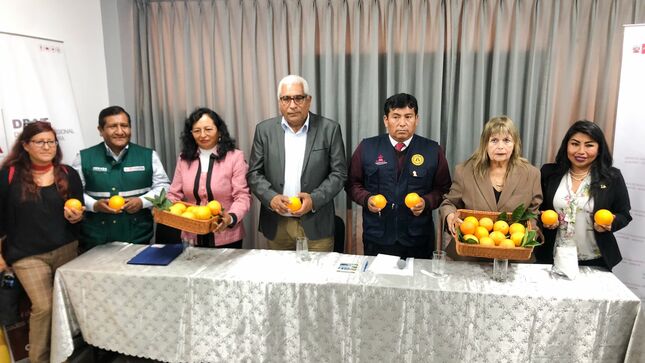 Naranja de Tacna ingresa al plan de exportación para Chile 