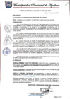 Vista preliminar de documento RESOLUCION ALCALDIA  N° 339