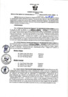 Vista preliminar de documento RGSR N° 203
