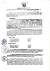 Vista preliminar de documento RGSR N° 213