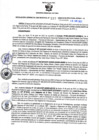 Vista preliminar de documento RGSR N° 217