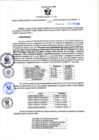 Vista preliminar de documento RGSR N° 232