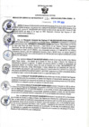 Vista preliminar de documento RGSR N° 234