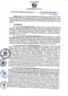 Vista preliminar de documento RGSR N° 239