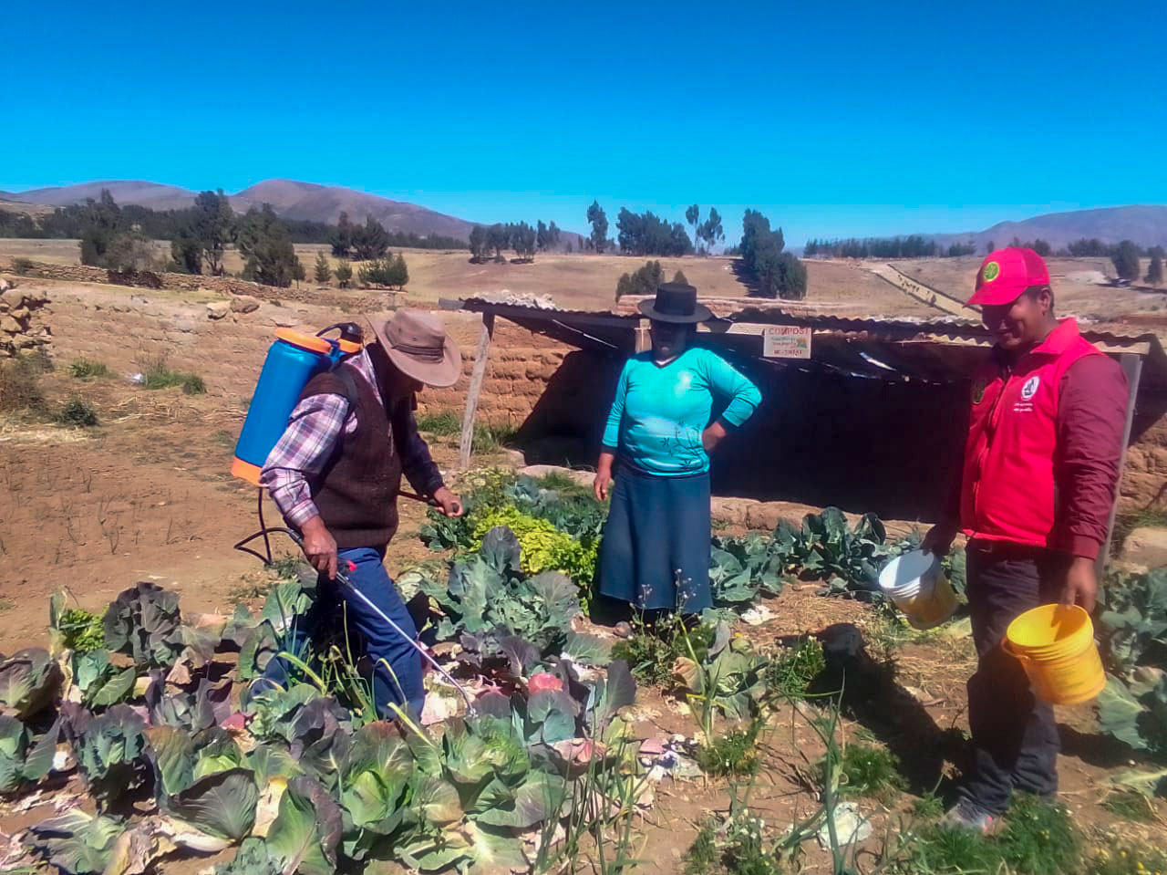 Proyecto Agroecológico impulsa prácticas de control fitosanitario en la comunidad de Tintay