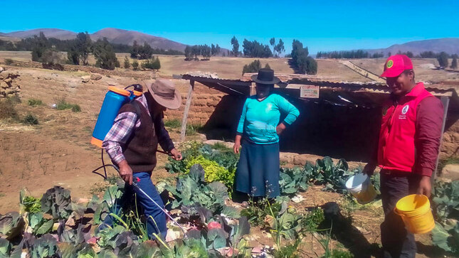 Proyecto Agroecológico impulsa prácticas de control fitosanitario en la comunidad de Tintay