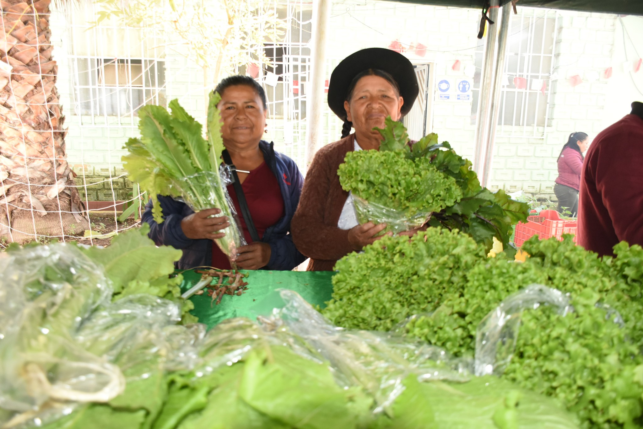 En Expoferia de Agricultura Familiar beneficiarios comercializan productos orgánicos