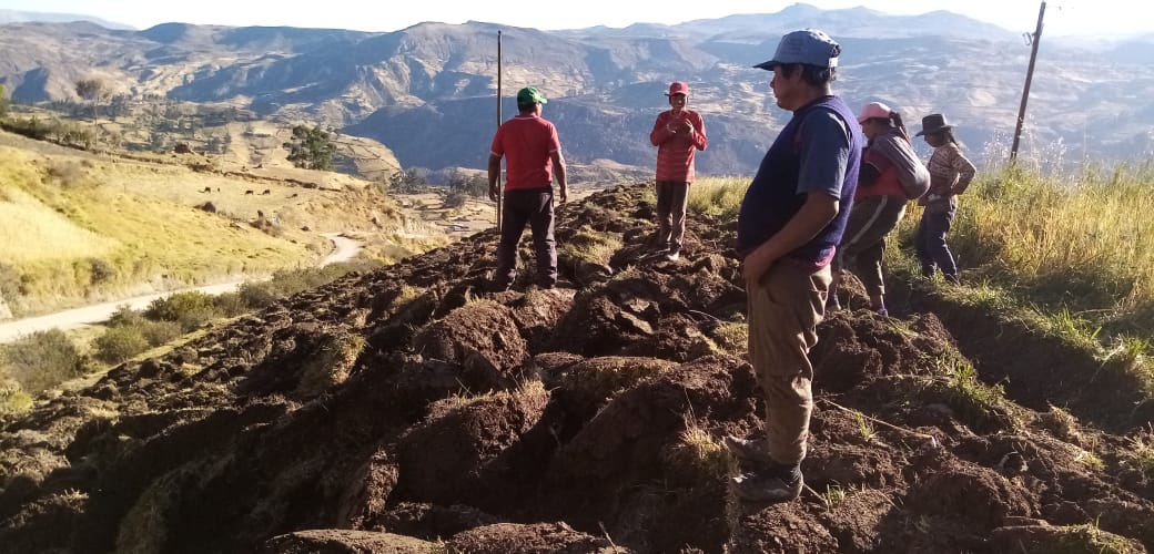 Preparan suelos para parcelas demostrativas de pastos cultivados