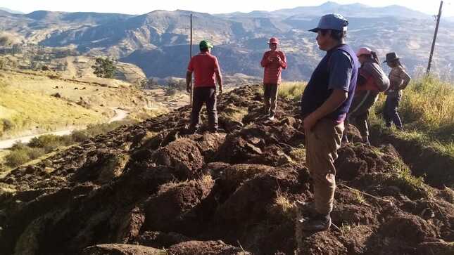 Preparan suelos para parcelas demostrativas de pastos cultivados