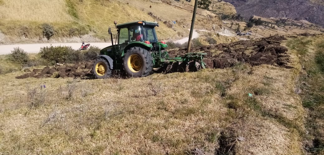 Preparan suelos para parcelas demostrativas de pastos cultivados