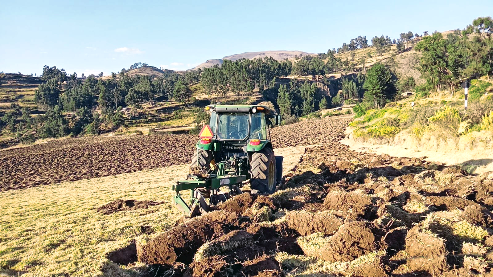 Preparan suelos para parcelas demostrativas de pastos cultivados