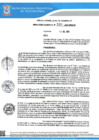 Vista preliminar de documento Resolucion 550 QR