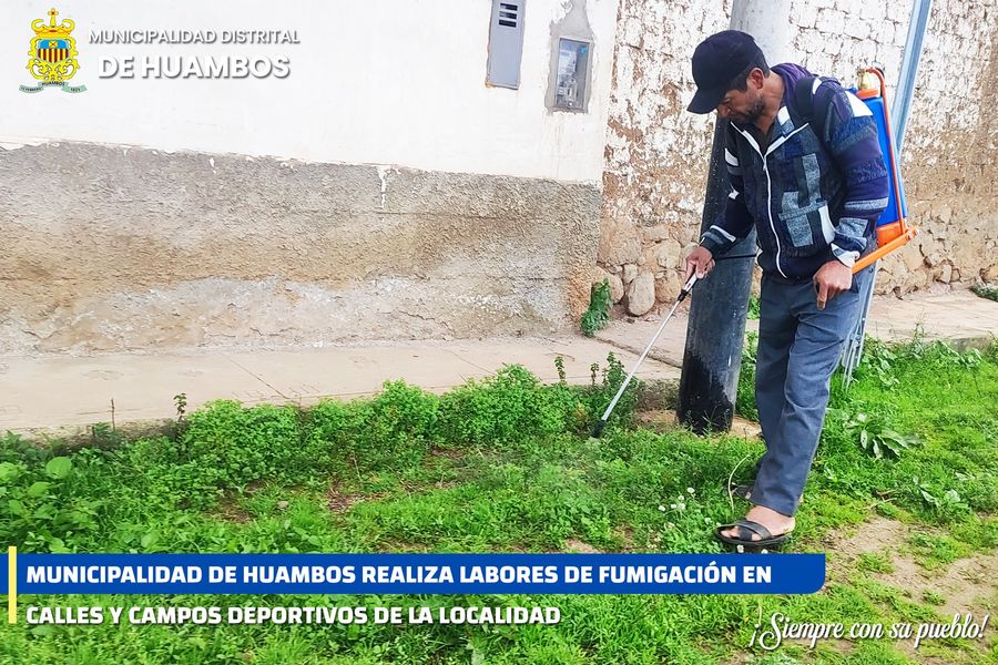 Fumigación en calles de Huambos