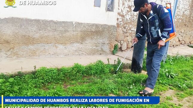 Fumigación en calles de Huambos