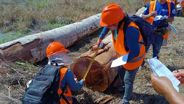 Taller en Puerto - actividad de campo