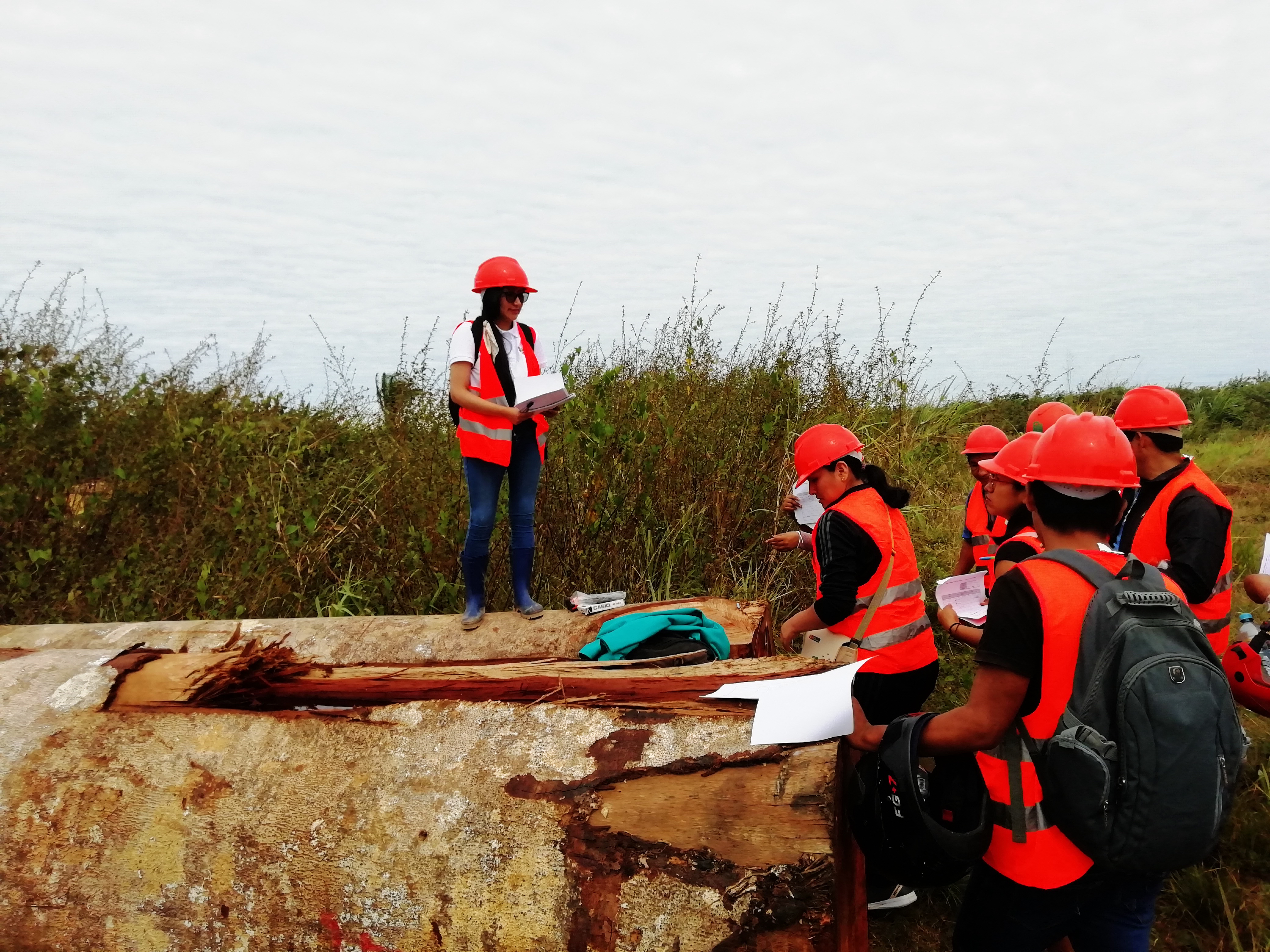 Taller en Puerto - actividad de campo