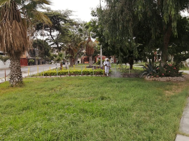 Hay que evitar visitar estos lugares hasta 6 horas después de la fumigación, por prevención.