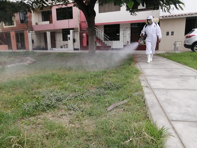 La municipalidad de Trujillo también ha fumigado locales de comedores populares e instituciones educativas.