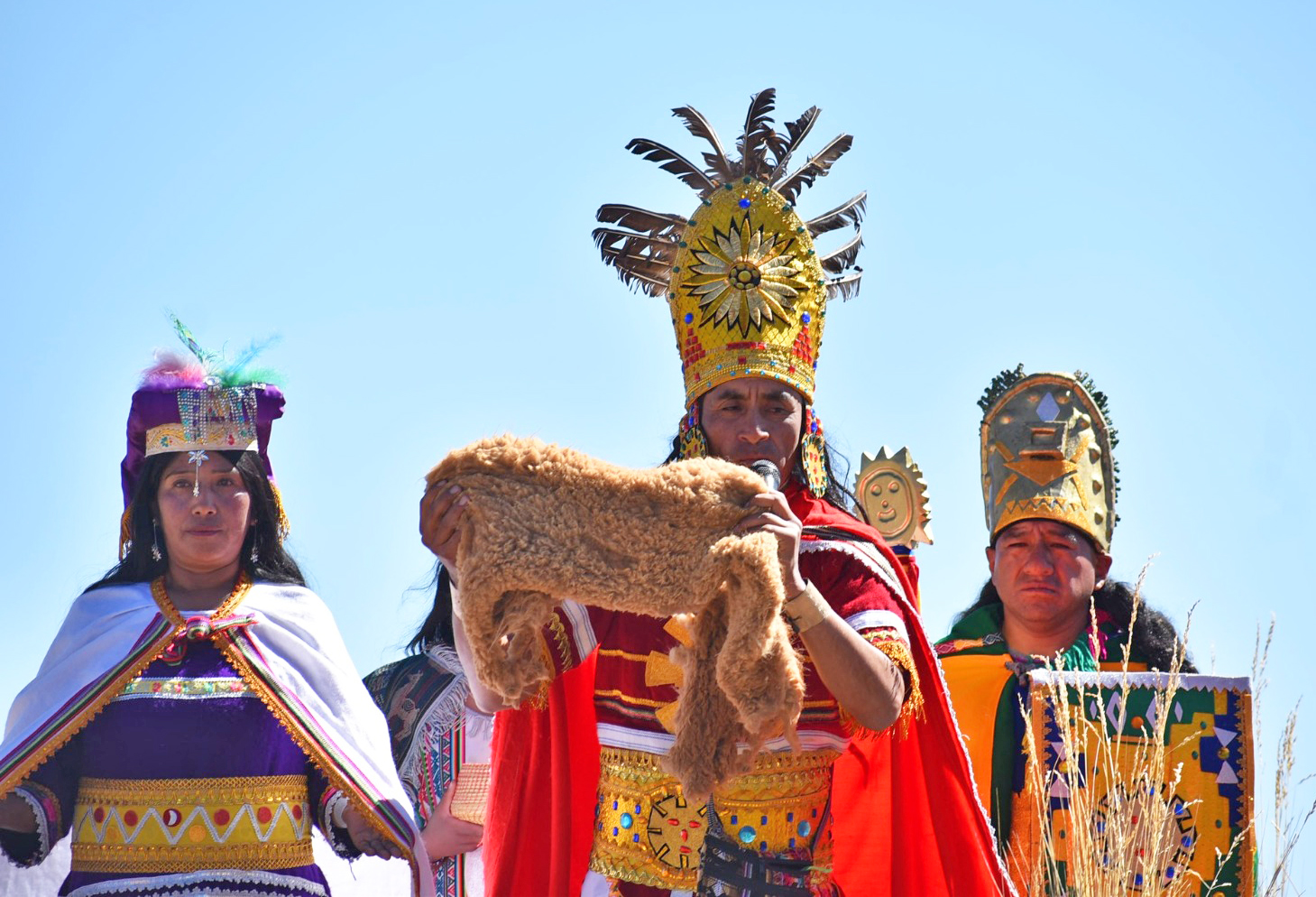 Histórico: Ayacucho recolectó más de 1700 kilos de fibra de vicuña en el mes de junio