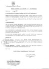 Vista preliminar de documento RA 241