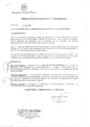Vista preliminar de documento RA 294