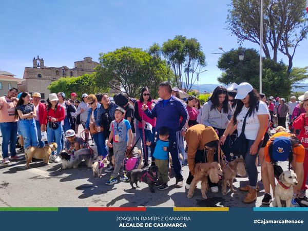 La Municipalidad Provincial de Cajamarca, a través de la subgerencia de Educación, Recreación y Deporte, realizó la II Caminata Canina 2023.
🐾Cientos de cajamarquinos mostraron su apoyo y respaldo a estas actividades que ayudan a fomentar el cuidado de los canes y actividades de esparcimiento seguro para los animales.
Esta actividad finalizó en la Plaza de Armas de Cajamarca, espacio donde también se viene realizando diferentes actividades deportivas y recreativas.