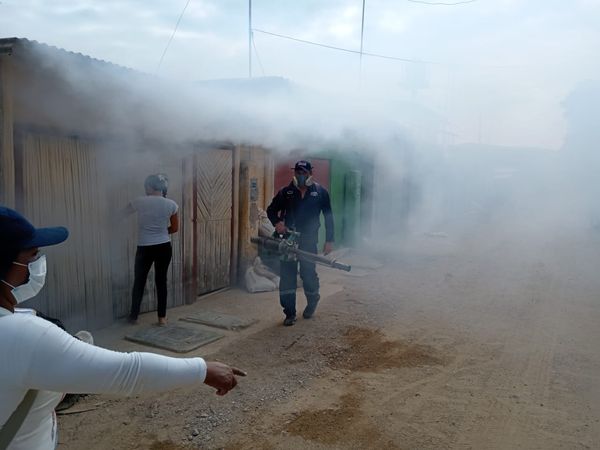 Fumigan cerca de 3,000 viviendas en Canoas de Punta Sal