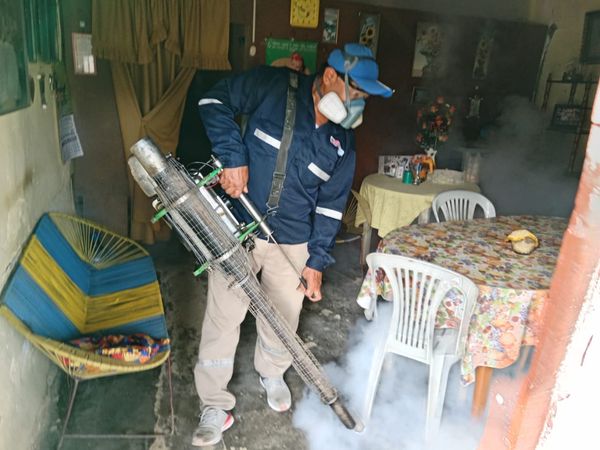 Fumigan cerca de 3,000 viviendas en Canoas de Punta Sal
