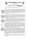 Vista preliminar de documento r228