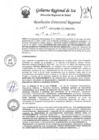 Vista preliminar de documento RDR-0687-2023