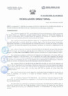 Vista preliminar de documento Resolución Directorial N°242-2022-DIRESA