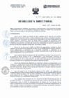 Vista preliminar de documento Resolución Directorial N°250-2022-DIRESA