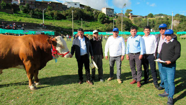 Primer día de feria