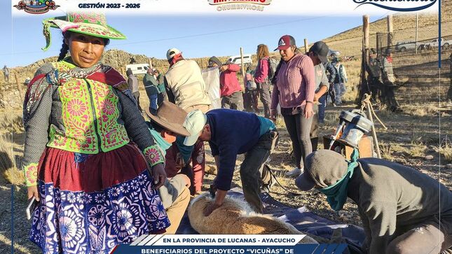 Beneficiarios del proyecto "Vicuñas" de Allhuacchuyo fortalecen sus capacidades en pasantía 