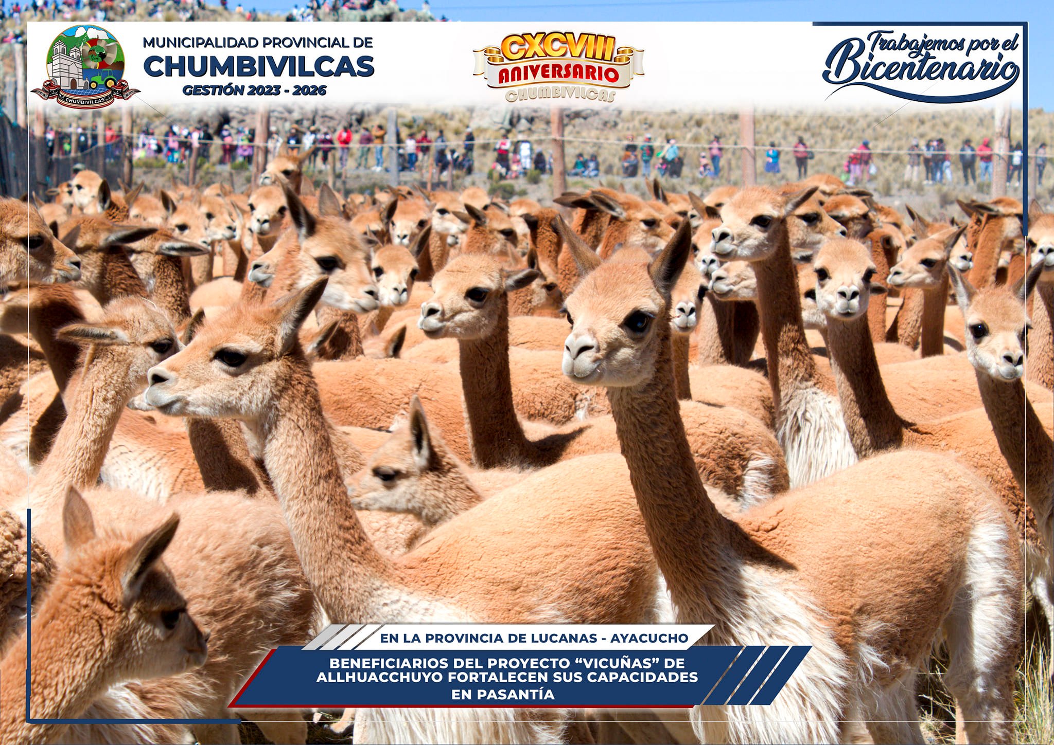 Beneficiarios del proyecto "Vicuñas" de Allhuacchuyo fortalecen sus capacidades en pasantía
