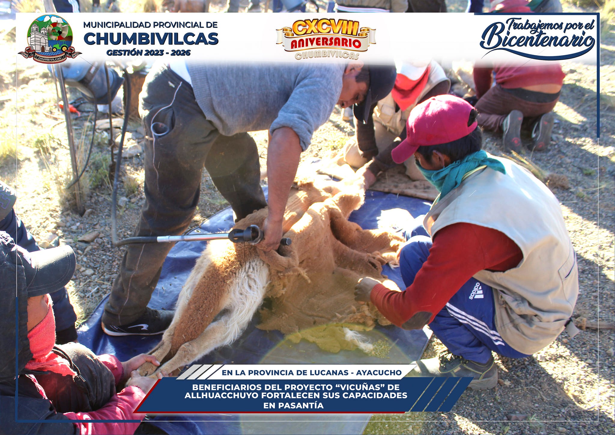Beneficiarios del proyecto "Vicuñas" de Allhuacchuyo fortalecen sus capacidades en pasantía