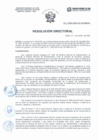 Vista preliminar de documento Resolución Directorial N°262-2022-DIRESA