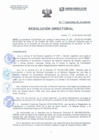 Vista preliminar de documento Resolución Directorial N°271-2022-DIRESA