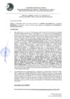 Vista preliminar de documento RESOLUCION DIRECTORAL Nº 009-2023-GRP-DRTPE-DPSC