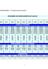 Vista preliminar de documento Resumen de Indicadores de Salud 2021