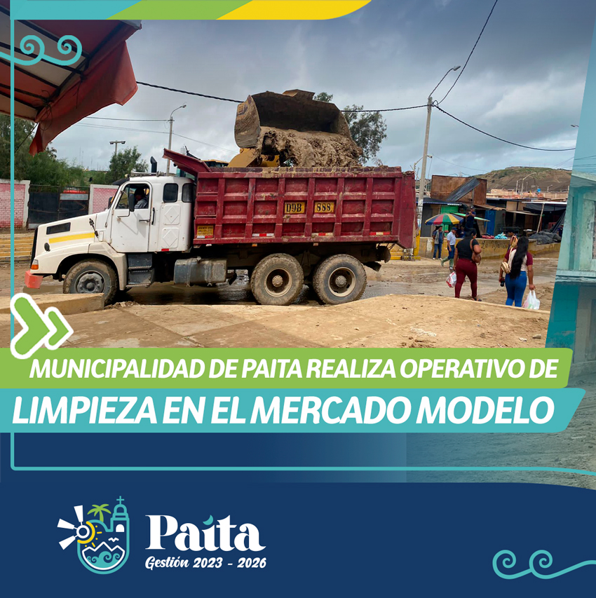 Limpieza del mercado modelo 