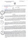 Vista preliminar de documento RD N°0062
