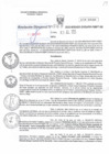 Vista preliminar de documento RD N°0063