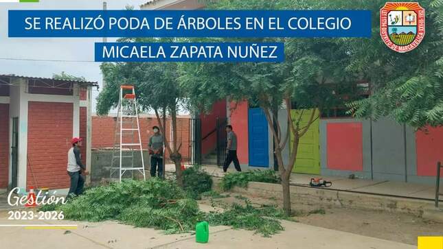 REALIZAN PODA DE ÁRBOLES EN COLEGIO DE MONTERÓN