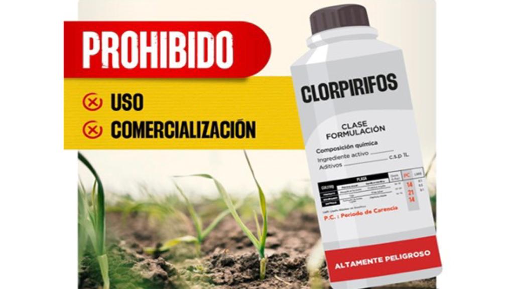Prohíben uso y comercio de insecticida clorpirifos en el Perú
